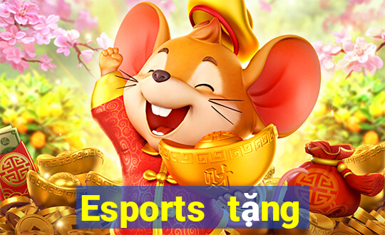 Esports tặng vàng trải nghiệm