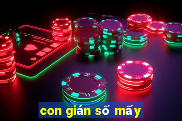 con gián số mấy