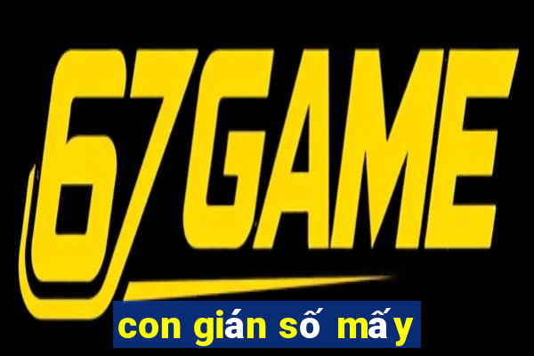 con gián số mấy