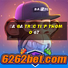 đá gà trực tiếp thomo 67