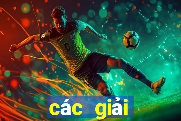 các giải thưởng mà johan cruyff giành được