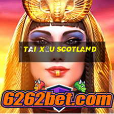 tài xỉu scotland