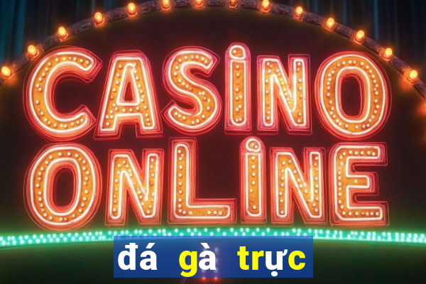 đá gà trực tiếp casino 369