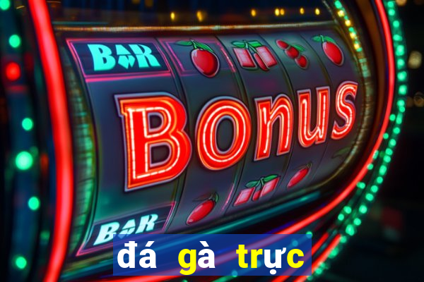 đá gà trực tiếp casino 369