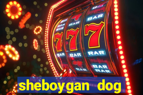 sheboygan dog training club