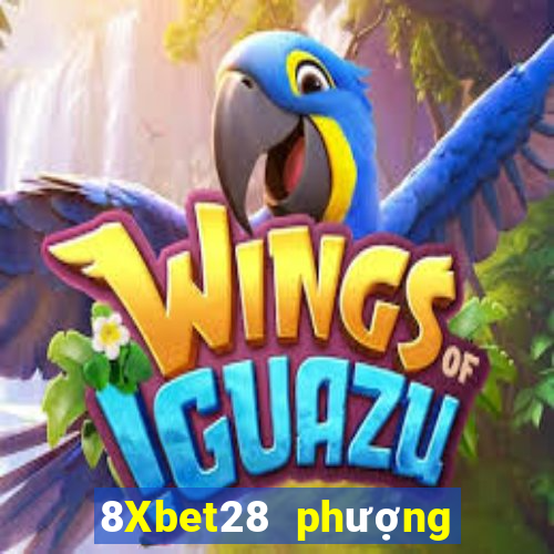 8Xbet28 phượng hoàng 28app Tải về