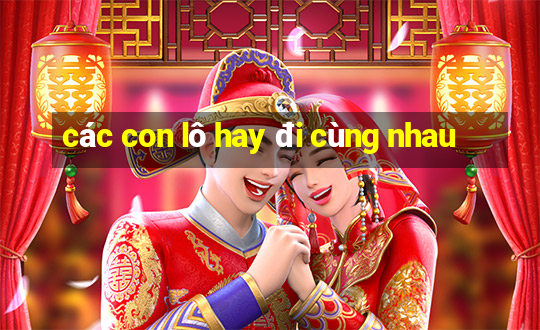 các con lô hay đi cùng nhau