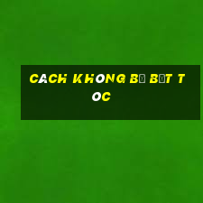 cách không bị bết tóc