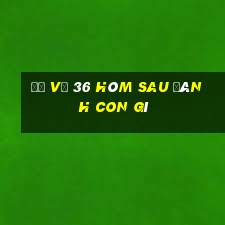 đề về 36 hôm sau đánh con gì