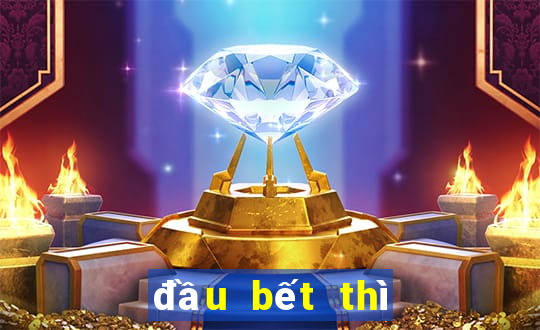 đầu bết thì làm sao