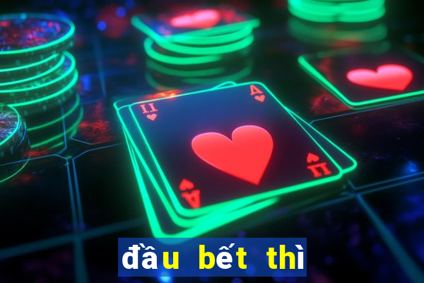 đầu bết thì làm sao