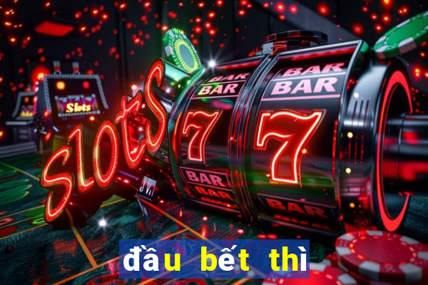 đầu bết thì làm sao