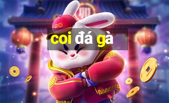 coi đá gà