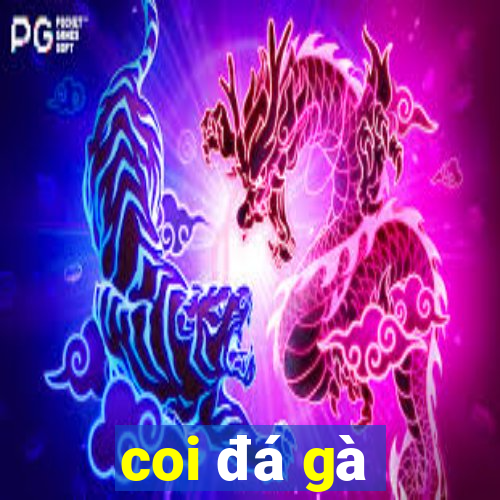 coi đá gà