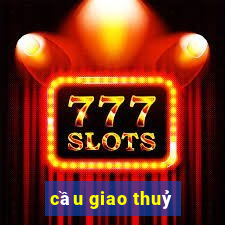 cầu giao thuỷ