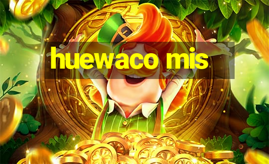 huewaco mis