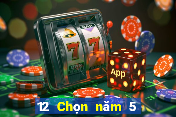 12 Chọn năm 5 Chiết Giang