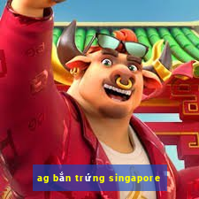 ag bắn trứng singapore