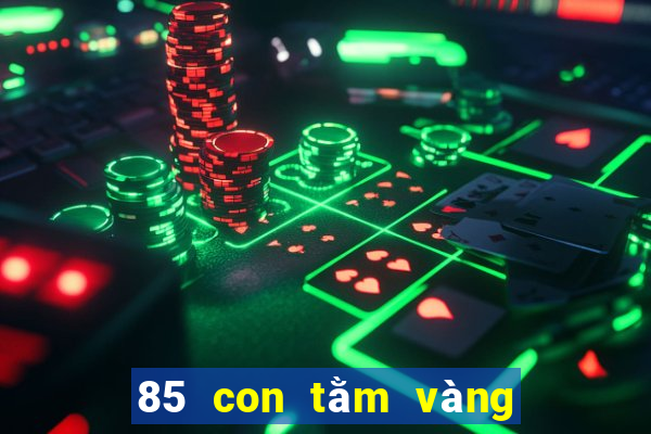 85 con tằm vàng để bắt cá