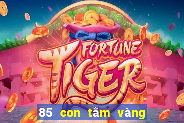 85 con tằm vàng để bắt cá