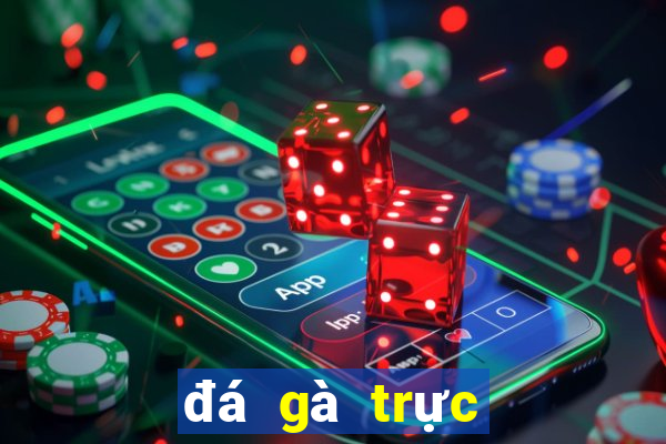 đá gà trực tiếp campuchia mới nhất