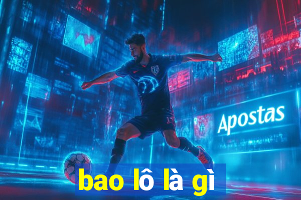 bao lô là gì