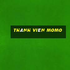 thành viên momo