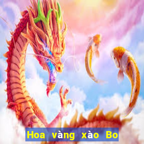 Hoa vàng xào Bo Bo 2021