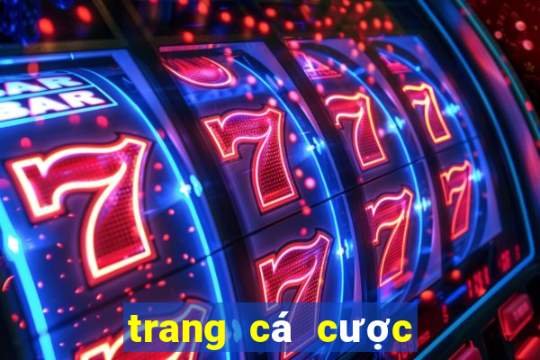 trang cá cược thể thao uy tín