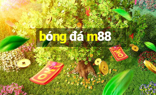 bóng đá m88