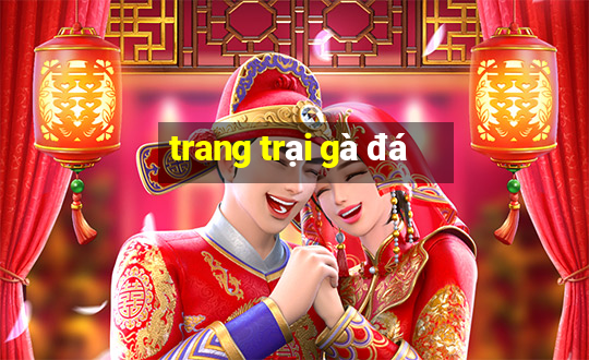 trang trại gà đá