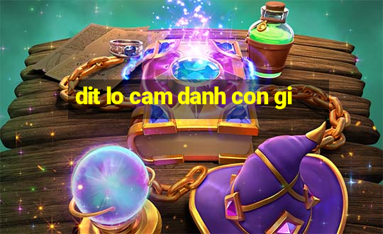 dit lo cam danh con gi