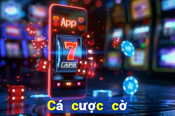 Cá cược cờ bạc là gì