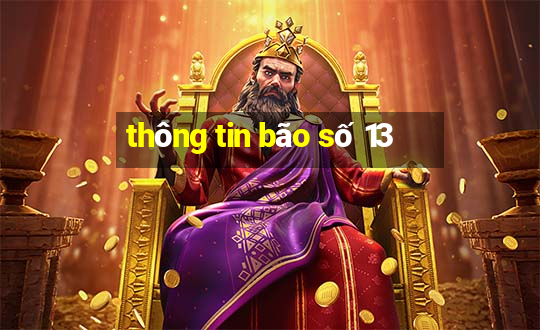 thông tin bão số 13