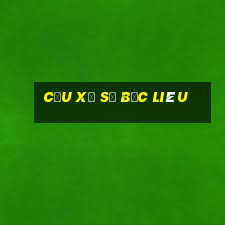 cầu xổ số bạc liêu