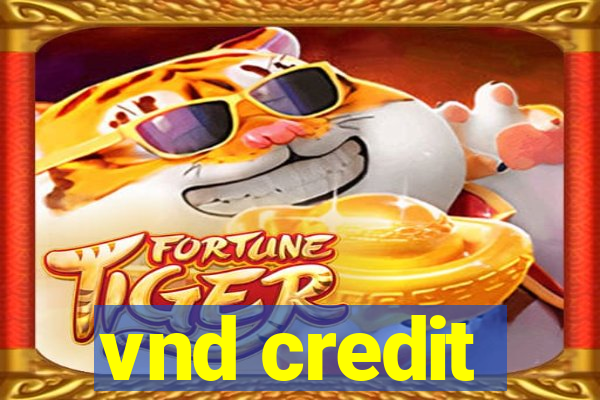 vnd credit