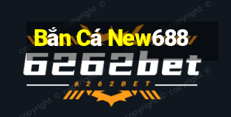 Bắn Cá New688