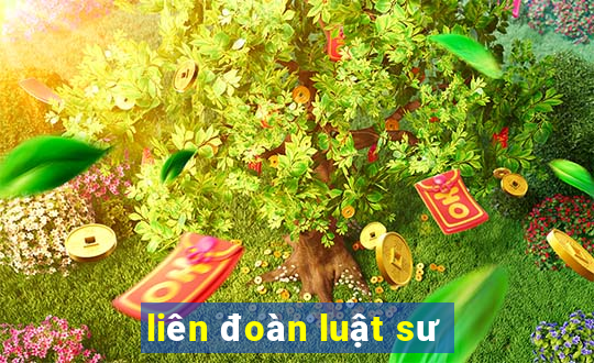 liên đoàn luật sư