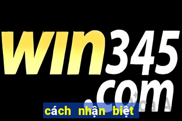 cách nhận biệt kèo bóng đá