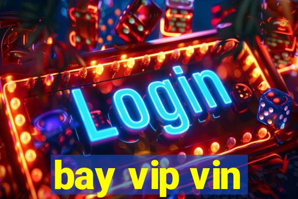 bay vip vin