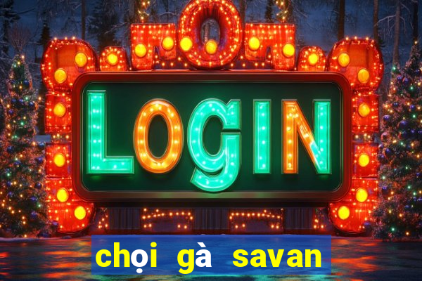 chọi gà savan trực tiếp