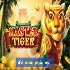 đề nuôi phải nổ