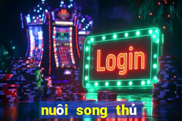 nuôi song thủ lô khung 2ngay