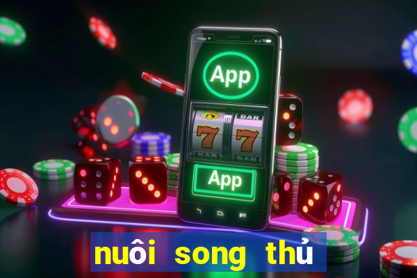 nuôi song thủ lô khung 2ngay