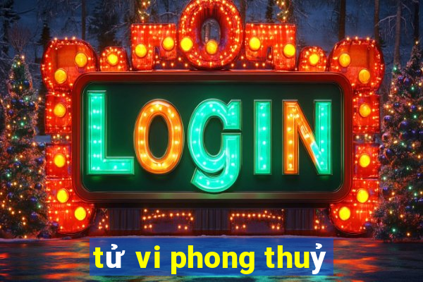 tử vi phong thuỷ