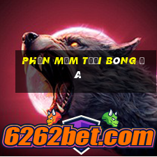 Phần mềm tưới bóng đá