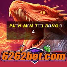 Phần mềm tưới bóng đá