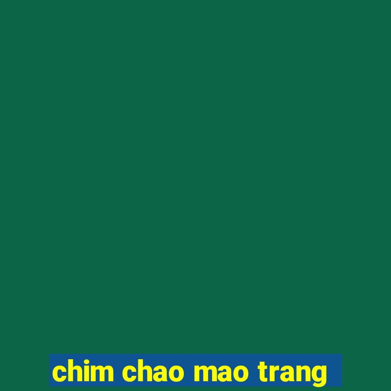 chim chao mao trang