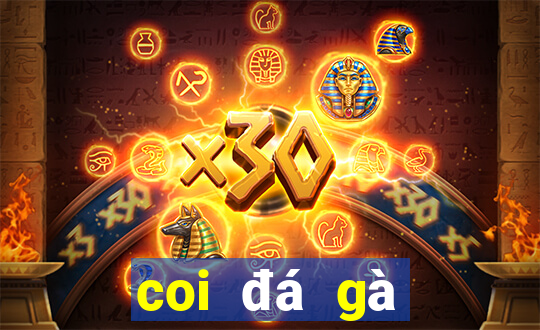 coi đá gà casino trực tiếp