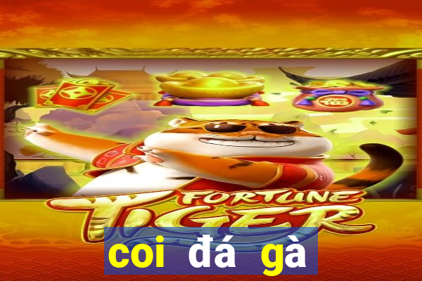 coi đá gà casino trực tiếp